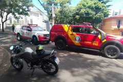 IMG-20250310-WA0133