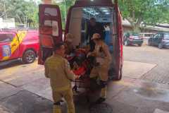 IMG-20251009-WA0103