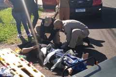 IMG-20250601-WA0288