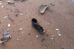 IMG-20241114-WA0280