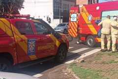 IMG-20250226-WA0214