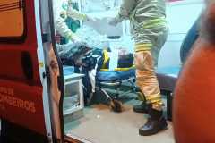 IMG-20241205-WA0057