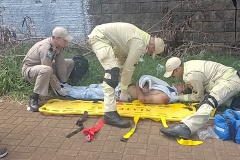IMG_20250205_110020