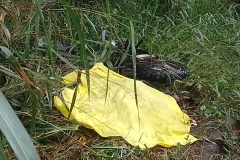 IMG_20240424_173338
