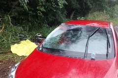 IMG_20240424_173404