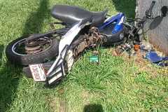 IMG-20250222-WA0081