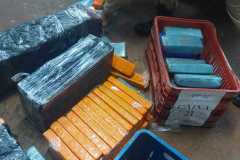 IMG-20251124-WA0029