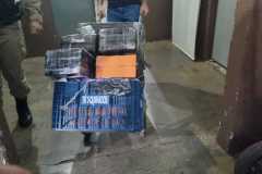 IMG-20251124-WA0037