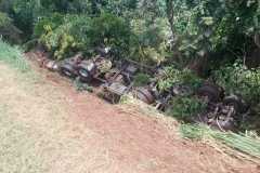 IMG-20250205-WA0081