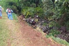 InFrame_1738770729002