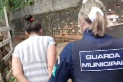 InFrame_1766003363372