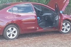 IMG_20250228_163140_1