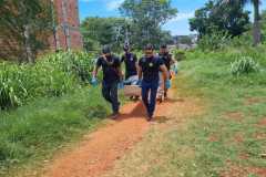 IMG-20251130-WA0282