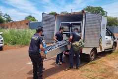 IMG-20251130-WA0287
