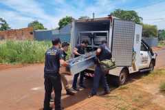 IMG-20251130-WA0288