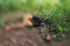 InFrame_1781489325536