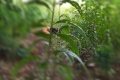 InFrame_1781489364517