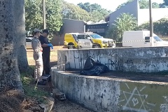 IMG_20250429_094257