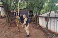 IMG-20260725-WA0051