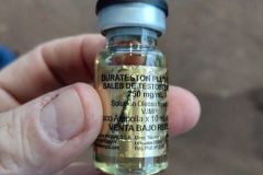 IMG-20240701-WA0187