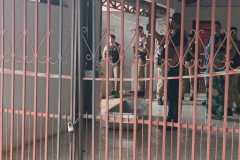 IMG-20250426-WA0091