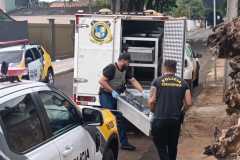 IMG-20250426-WA0094