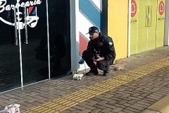 IMG_20250803_082243
