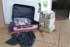 InFrame_1669689355103