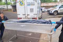 IMG-20251029-WA0357