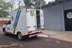 IMG-20251029-WA0361