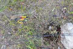 IMG-20260604-WA0224