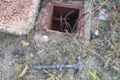 IMG-20260604-WA0226