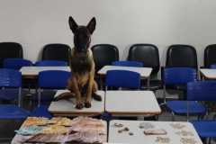 c5930141-92bb-4c15-8829-fedb8314aada