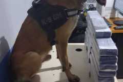 IMG-20260526-WA0029
