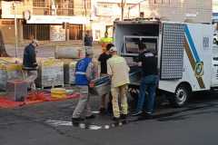 IMG-20250317-WA0123