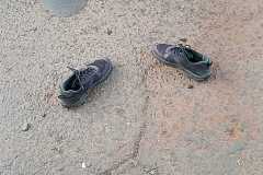 IMG-20250317-WA0130