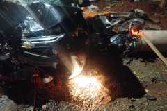 IMG-20250317-WA0135
