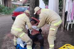 IMG-20260511-WA0309