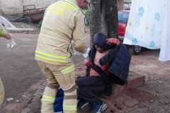 IMG-20260511-WA0319
