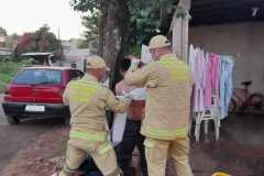 IMG-20260511-WA0322