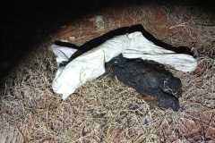 IMG-20241204-WA0308