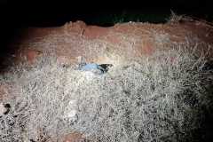 IMG-20241205-WA0012