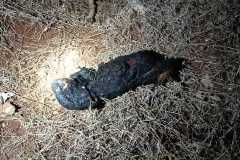 IMG-20241205-WA0015