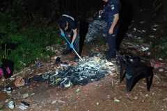 IMG-20241205-WA0027