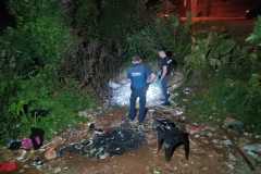 IMG-20241205-WA0029