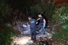 IMG-20241205-WA0030