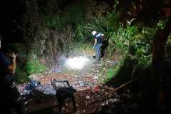 IMG-20241205-WA0031