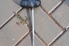 InFrame_1764776063696