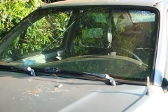 IMG_20260123_182326