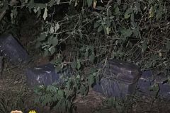 IMG-20250304-WA0038